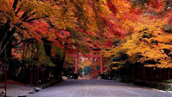 ｢日吉大社｣滋賀, 大津市