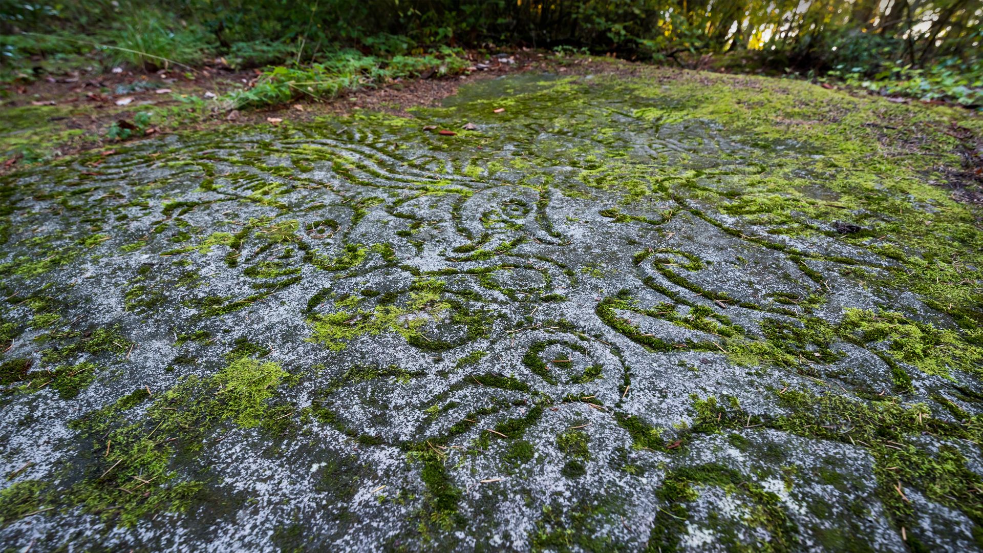 Ancient rock carvings at Petroglyph Provincial Park in Nanaimo, Canada