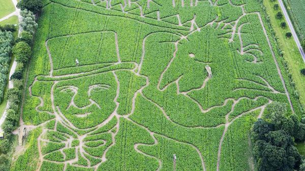 A Roald Dahl-themed maze in York