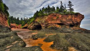 芬迪湾低潮时的洞穴及海岸地貌 ，加拿大新不伦瑞克 (© Jamie Roach/Shutterstock)(Bing China)