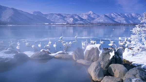 ｢コタン温泉｣北海道, 屈斜路湖