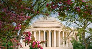 Cherry blossoms frame the Jefferson Memorial in Washington, D.C. (© Degree/eStock Photo) &copy; (Bing United States)