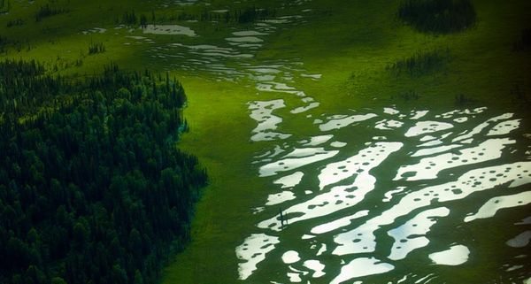 Lakes in a wetland south of Anchorage, Alaska