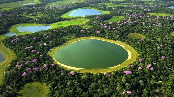 Wetlands of Pantanal, Brazil