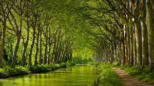 Canal du Midi in late spring, Toulouse, Haute-Garonne, Midi-Pyrénées, France (© Yuryev Pavel/Shutterstock)(Bing New Zealand)