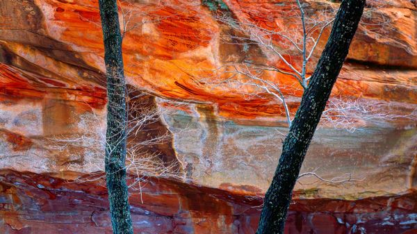 West Fork of Oak Creek Canyon in Arizona
