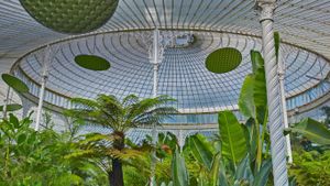 Inside the Kibble Palace glasshouse, Glasgow Botanic Gardens, Scotland (© Allan Baxter/Gallery Stock)(Bing New Zealand)