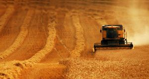 Moissonneuse-batteuse récoltant du blé, Angleterre (© Corbis Motion) &copy; (Bing France)