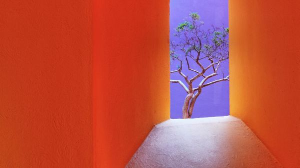 Orange corridor, San Jose del Cabo, Mexico