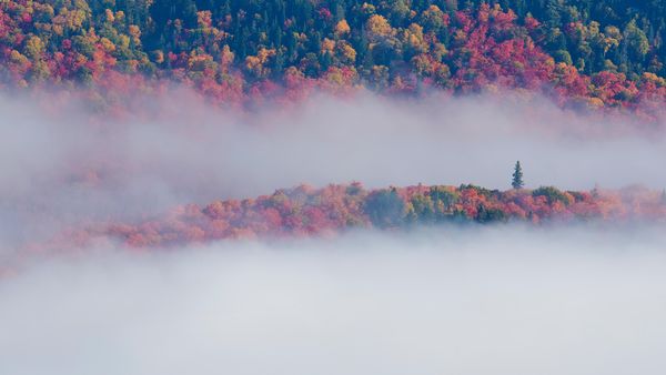 Fall foliage in Mont-Tremblant National Park, Quebec