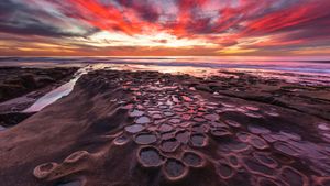 Tide pools in La Jolla, California (© Andrew Shoemaker/DanitaDelimont.com)(Bing United States)