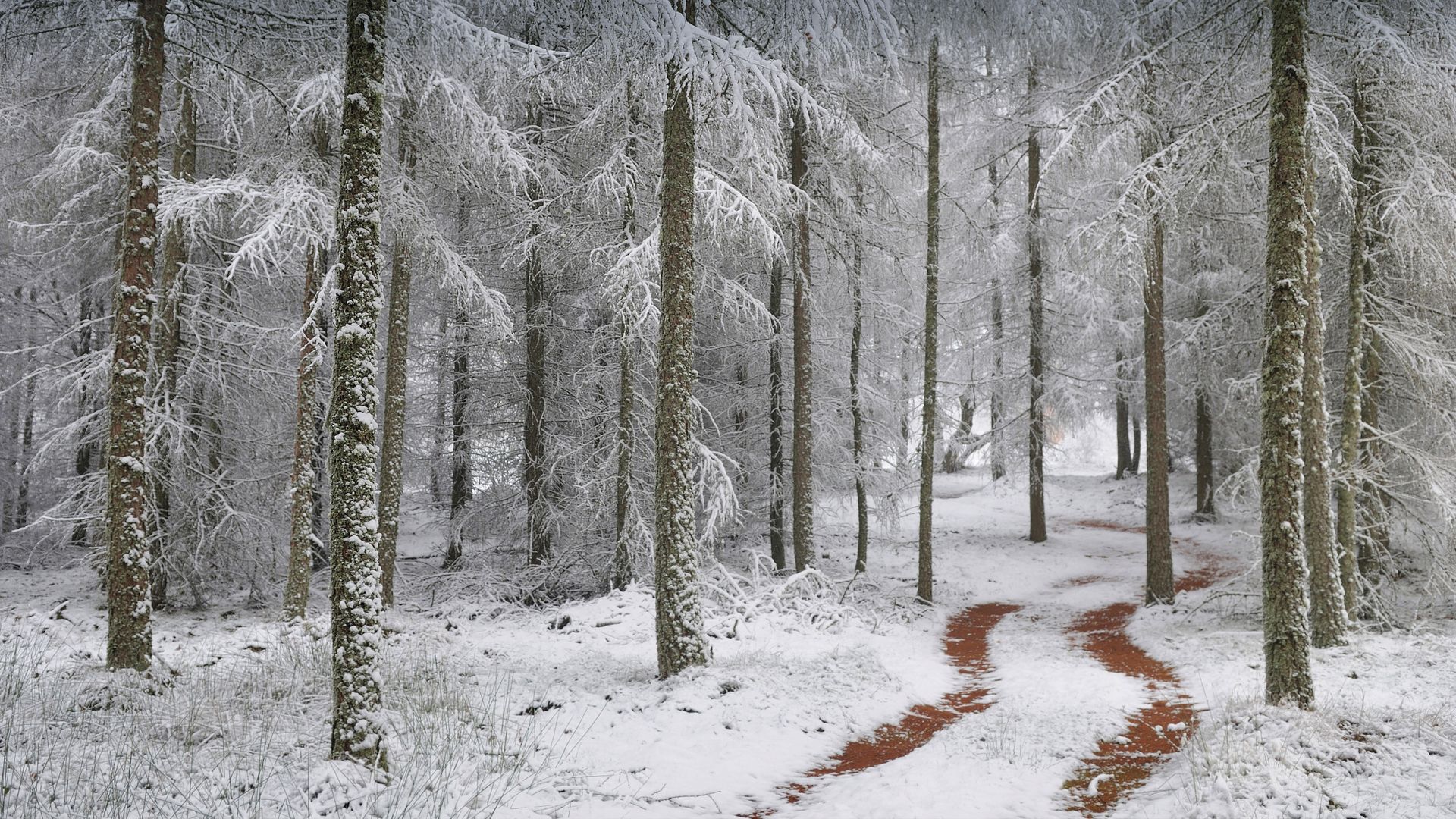 Northern Vosges Regional Nature Park, France