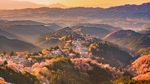 Mount Yoshino, Nara Prefecture, Japan (© Sean Pavone/iStock/Getty Images Plus)(Bing United States)