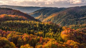 八甲田山の紅葉, 青森県青森市 (© Mekdet/Getty images)(Bing Japan)