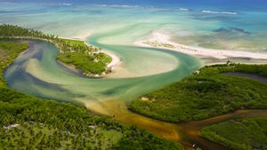 Tatuamunha River estuary, Brazil (© Luciano Candisani/Minden Pictures)(Bing New Zealand)