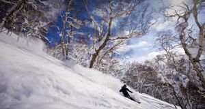 ｢ニセコバックカントリー｣北海道, ニセコ (© Ryan Creary/All Canada Photos/gettyimages) &copy; (Bing Japan)