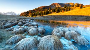 Val di Non, Trentino-Alto Adige (© Stefano Springhetti/Sime/eStock Photo)(Bing Italia)