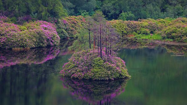 Small loch in Glen Etive, Scotland