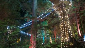 Illuminated Capilano Suspension Bridge Park, Vancouver, British Columbia (© Brian Caissie/Getty Images)(Bing Canada)