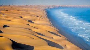 非洲大西洋海湾的纳米布沙漠 (© Robert Harding World Imagery/Offset)(Bing China)