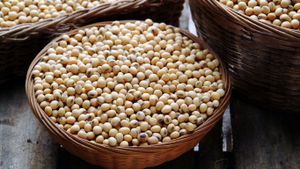 ｢かごいっぱいの大豆｣ (©  William Brady/age fotostock/Alamy Stock Photo)(Bing Japan)
