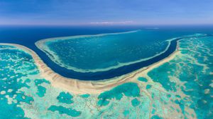 大堡礁的航拍图，澳大利亚 (© AirPano LLC/Amazing Aerial Agency)(Bing China)