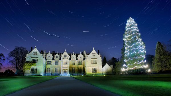Star trails above the Christmas tree at Wakehurst, West Sussex