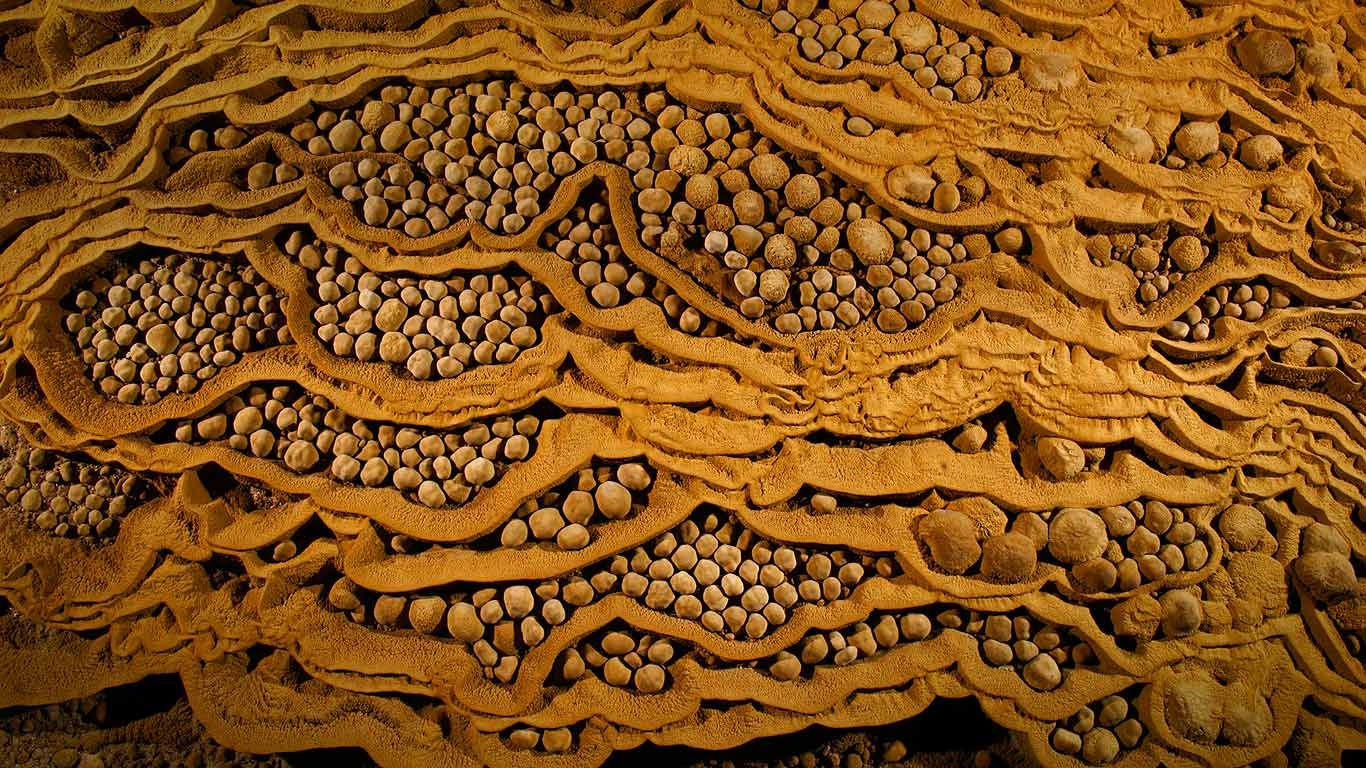 Rare cave pearls in Son Doong Cave at Phong Nha-Kẻ Bàng National Park, Vietnam