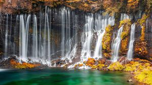 白糸の滝, 静岡県 富士宮市 (© Sean Pavone/Alamy Stock Photo)(Bing Japan)