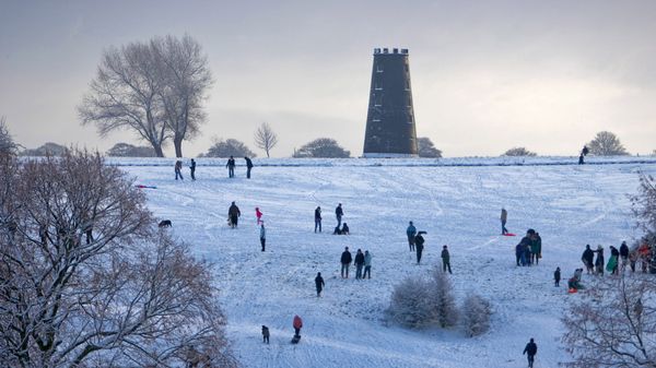 Beverley Westwood Common, East Yorkshire