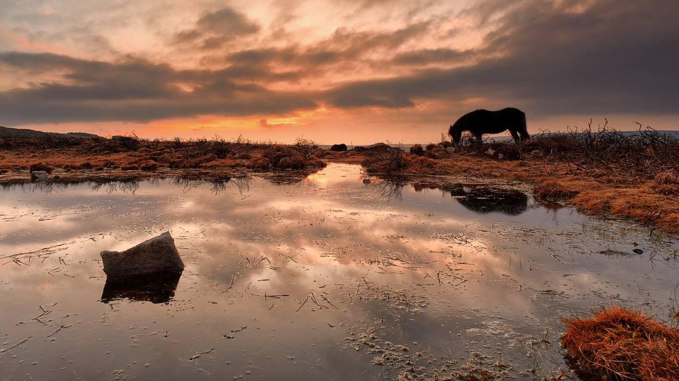 Haytor, Dartmoor National Park, England