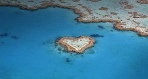 Heart Reef, part of the Great Barrier Reef  in Queensland, Australia --  Michael Weber/Photolibrary &copy; (Bing United States)