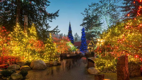 Capilano Suspension Bridge Park decorated with Christmas lights, Vancouver