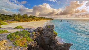 Warwick Long Bay, Bermuda (© SIME/eStock Photo)(Bing United Kingdom)