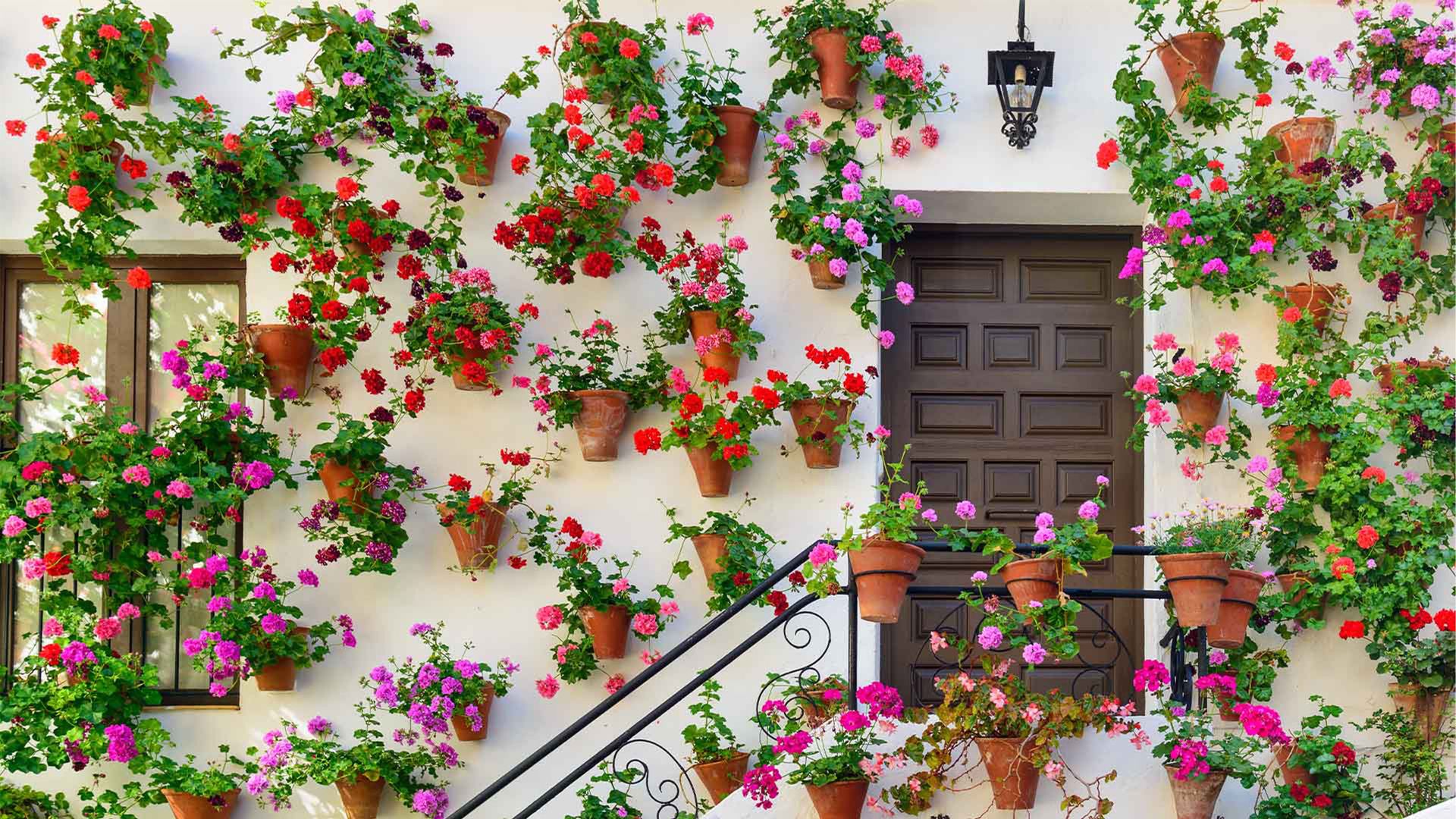 Fiesta de los patios cordobeses, Córdoba, Andalucía, España