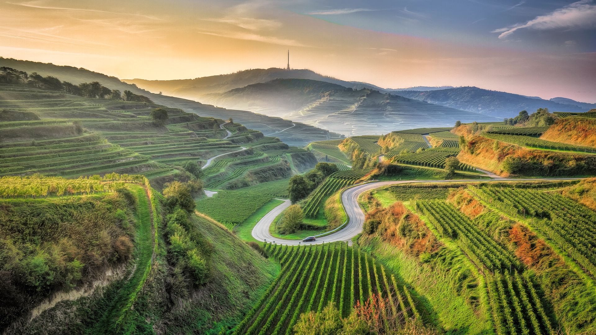 Ansicht eines landwirtschaftlichen Feldes, Kaiserstuhl, Baden-Württemberg