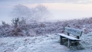 Ashdown Forest, East Sussex, England (© Mark Holme photo/Alamy Stock Photo)(Bing United Kingdom)