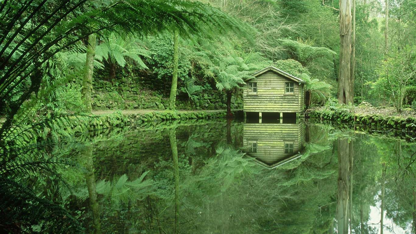 Alfred Nicholas Memorial Gardens in the Dandenong Ranges, Victoria, Australia