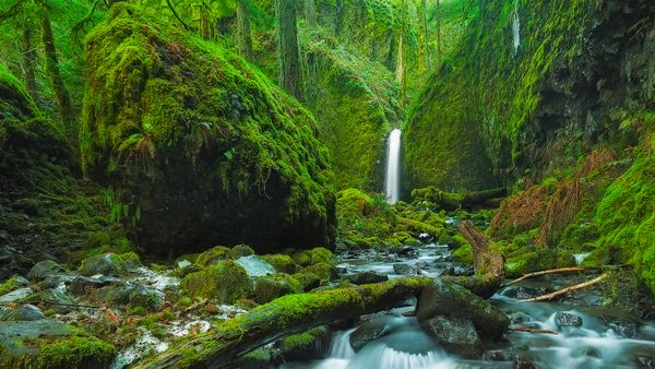 Mossy Grotto Falls, Columbia River Gorge, Oregon