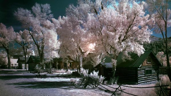 Bannack State Park in Montana, USA