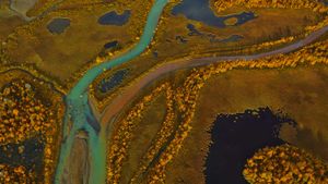 ｢ラパ川｣スウェーデン (© George Steinmetz/Corbis)(Bing Japan)