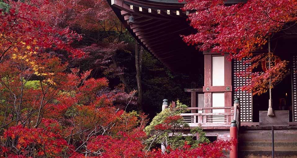 Bishamondo