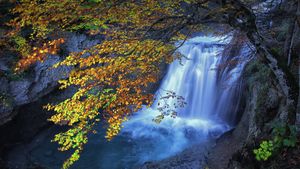 Waterfall on the Rio Arazas in Ordesa y Monte Perdido National Park, Pyrenees, Spain (© David Santiago Garcia/Cavan Images)(Bing United Kingdom)