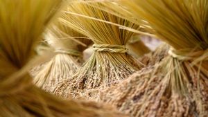 【今日秋分】大丰收的稻草束，广西龙胜各族自治县 (© Federico Ravassard/500px)(Bing China)