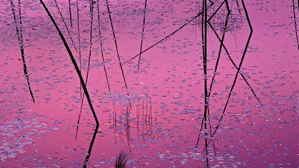 ｢湖面に映る夕陽｣アメリカ, ミネソタ州