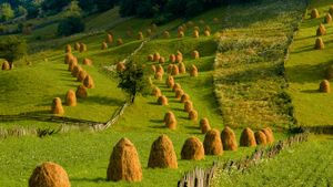 Prairie à Mânăstirea Humorului, Bukovine, Roumanie (© Photononstop/SuperStock)(Bing France)