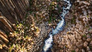 ｢玄武岩のプリズム｣メキシコ, イダルゴ州 (© Marcos Ferro/Aurora Photos)(Bing Japan)