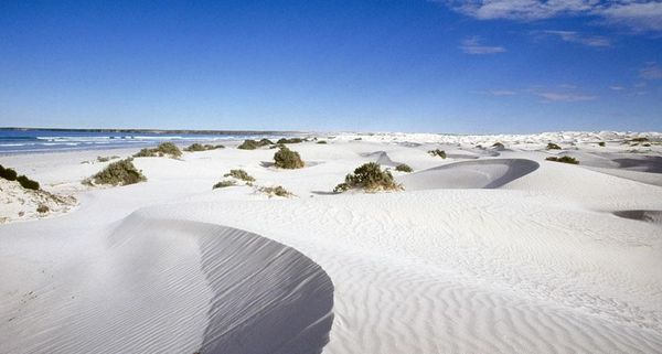 Coombra sand dunes, Head of Bight, Eyre Peninsula, Australia
