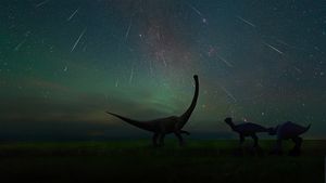 The Perseid meteor shower photographed at the Dinosaur Museum of Erenhot in Inner Mongolia, China (© bjdlzx/Getty Images)(Bing United States)