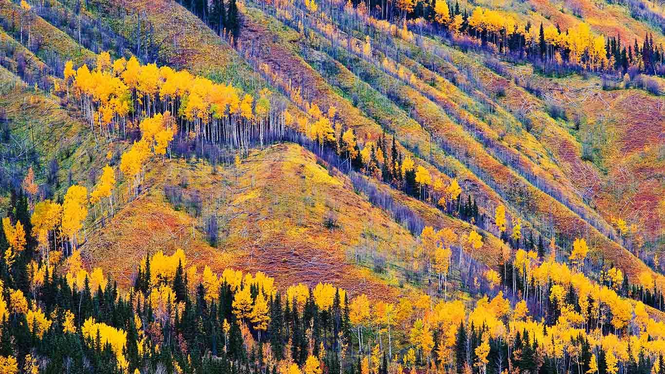 Fall colors near Toad River, British Columbia, Canada